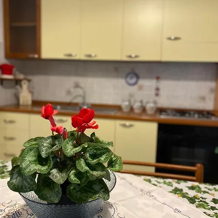 Appartement Trilocale Piazza Italia - Iun Q5292 Orosei